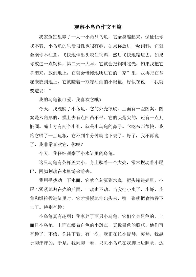 观察小乌龟作文五篇