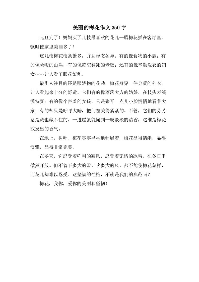 美丽的梅花作文350字