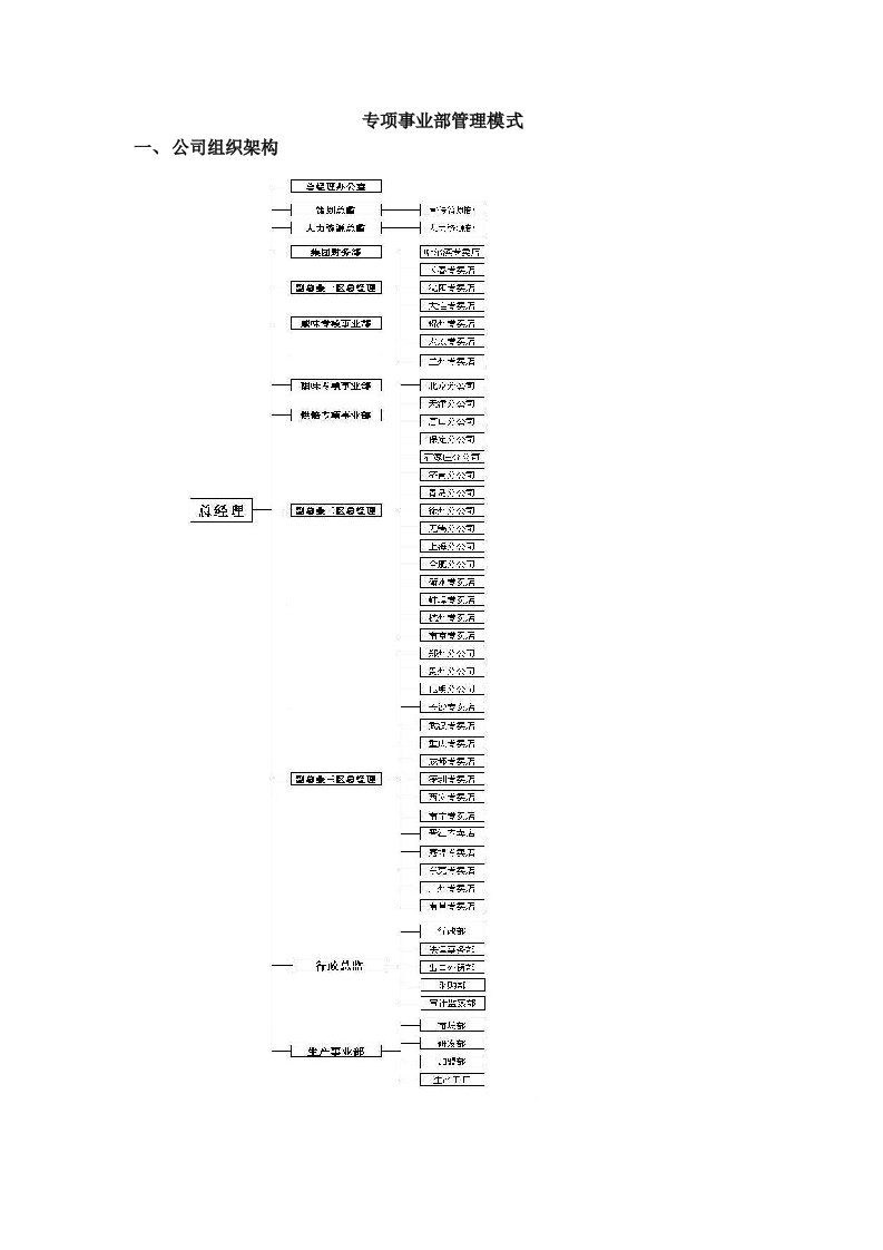 专项事业部管理模式