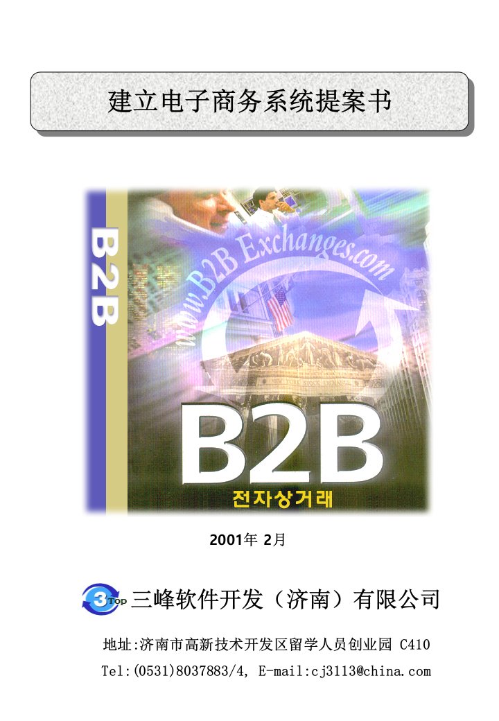 建立B2B电子商务系统提案书