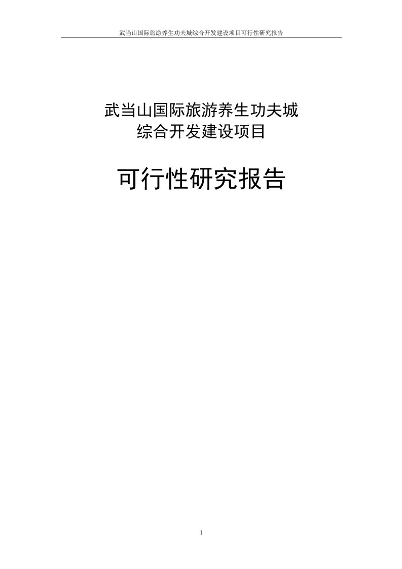 武当山国际旅游养生功夫城综合开发建设项目立项可行性研究论证报告