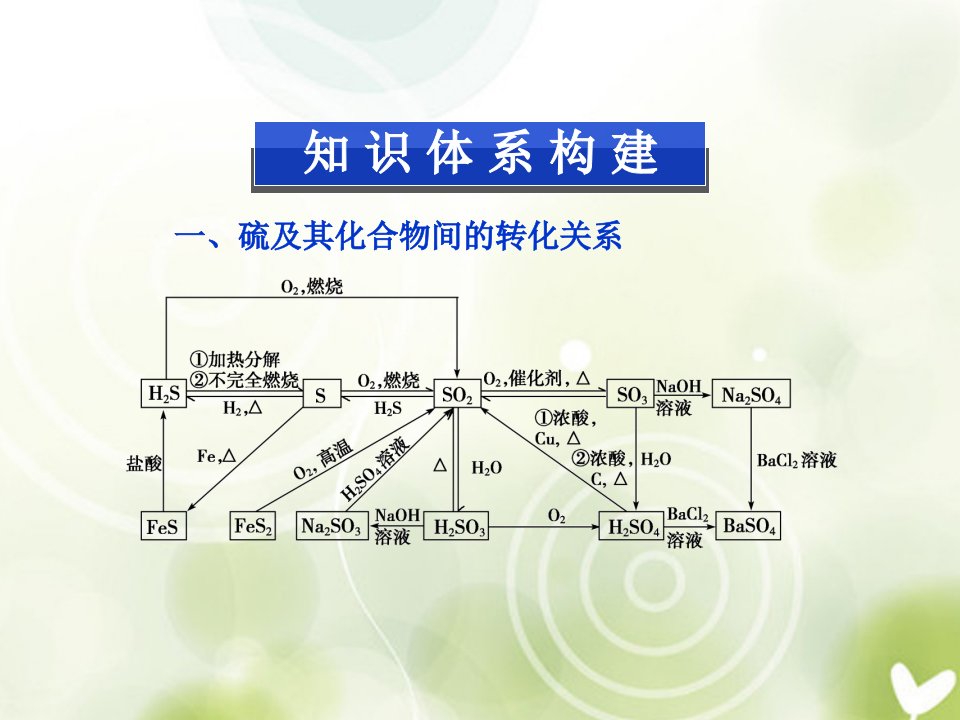 2022年高中化学专题4专题优化总结苏教版必修1