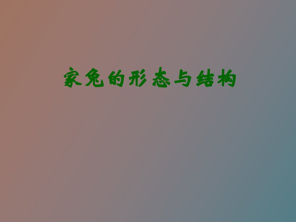 家兔的形态与结构