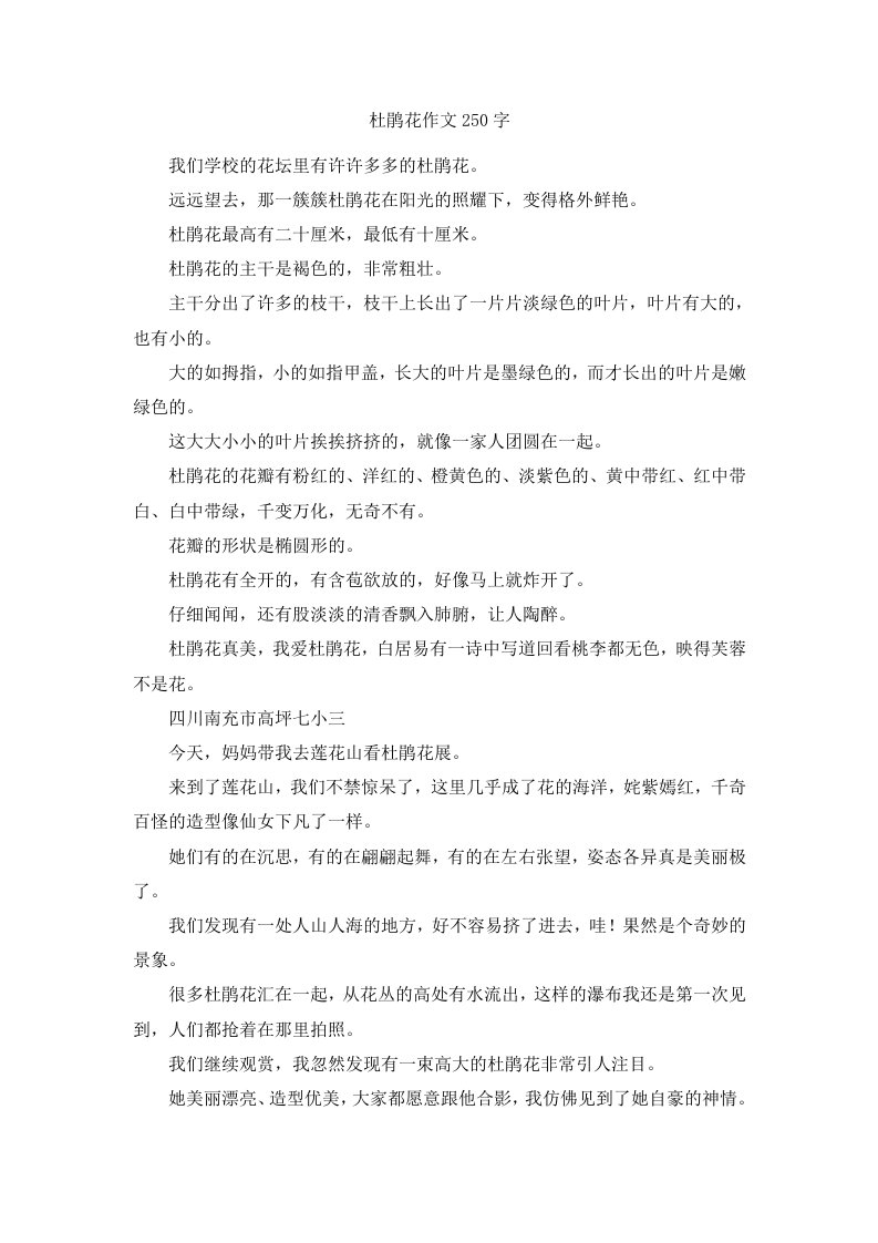 杜鹃花作文250字