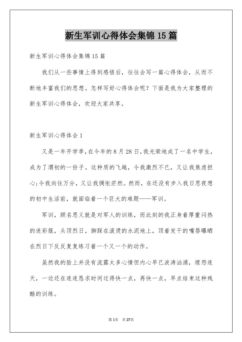 新生军训心得体会集锦15篇例文4