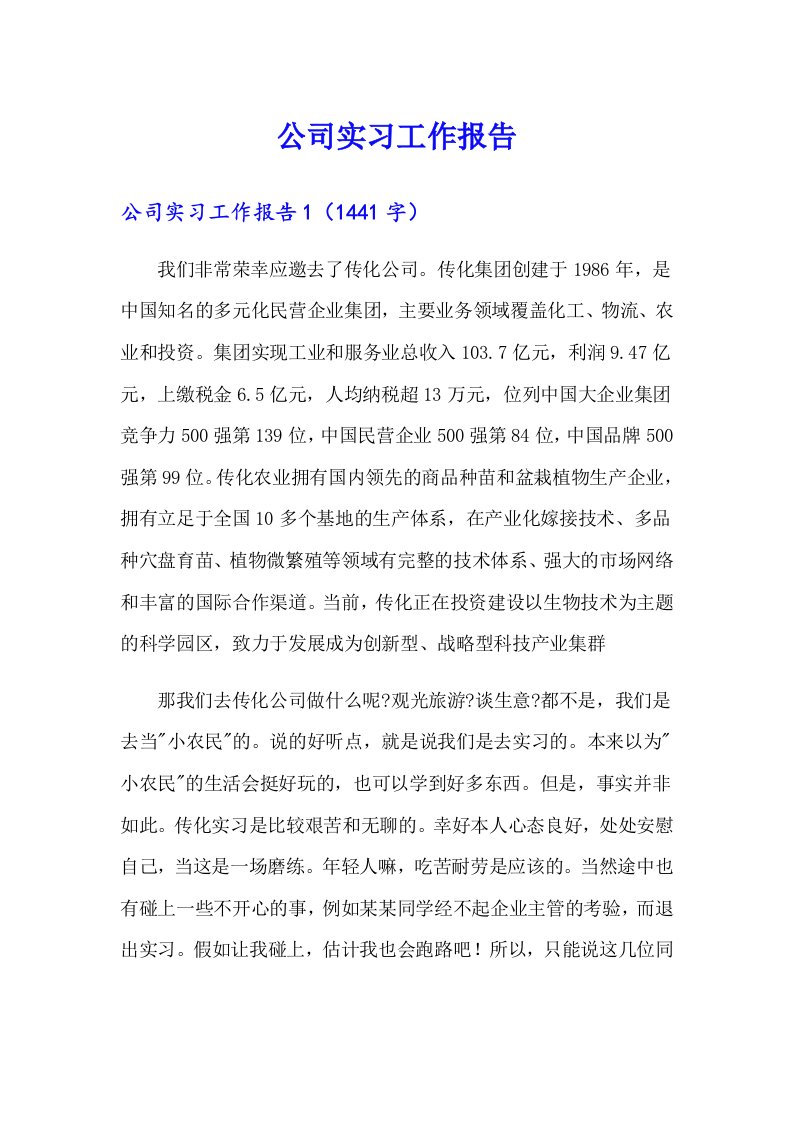 公司实习工作报告