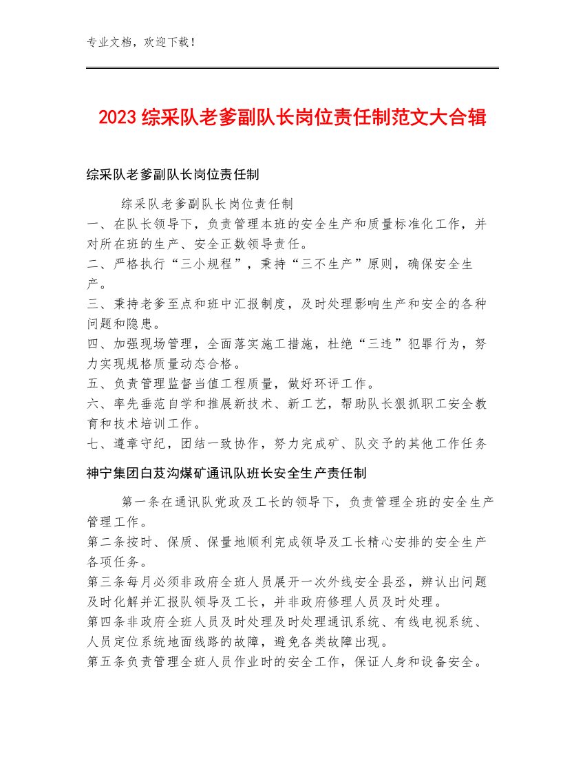 2023综采队老爹副队长岗位责任制范文大合辑