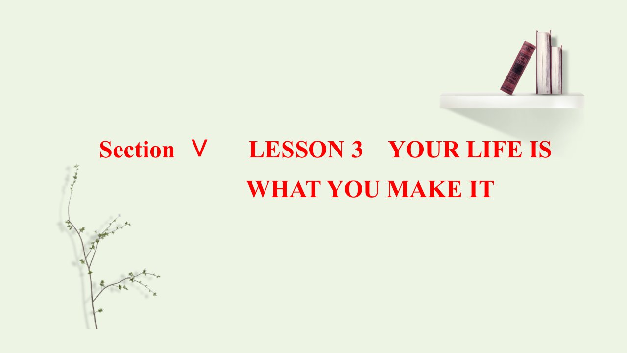 2021_2022学年新教材高中英语UNIT1LIFECHOICESSectionⅤLESSON3YOURLIFEISWHATYOUMAKEIT课件北师大版必修第一册