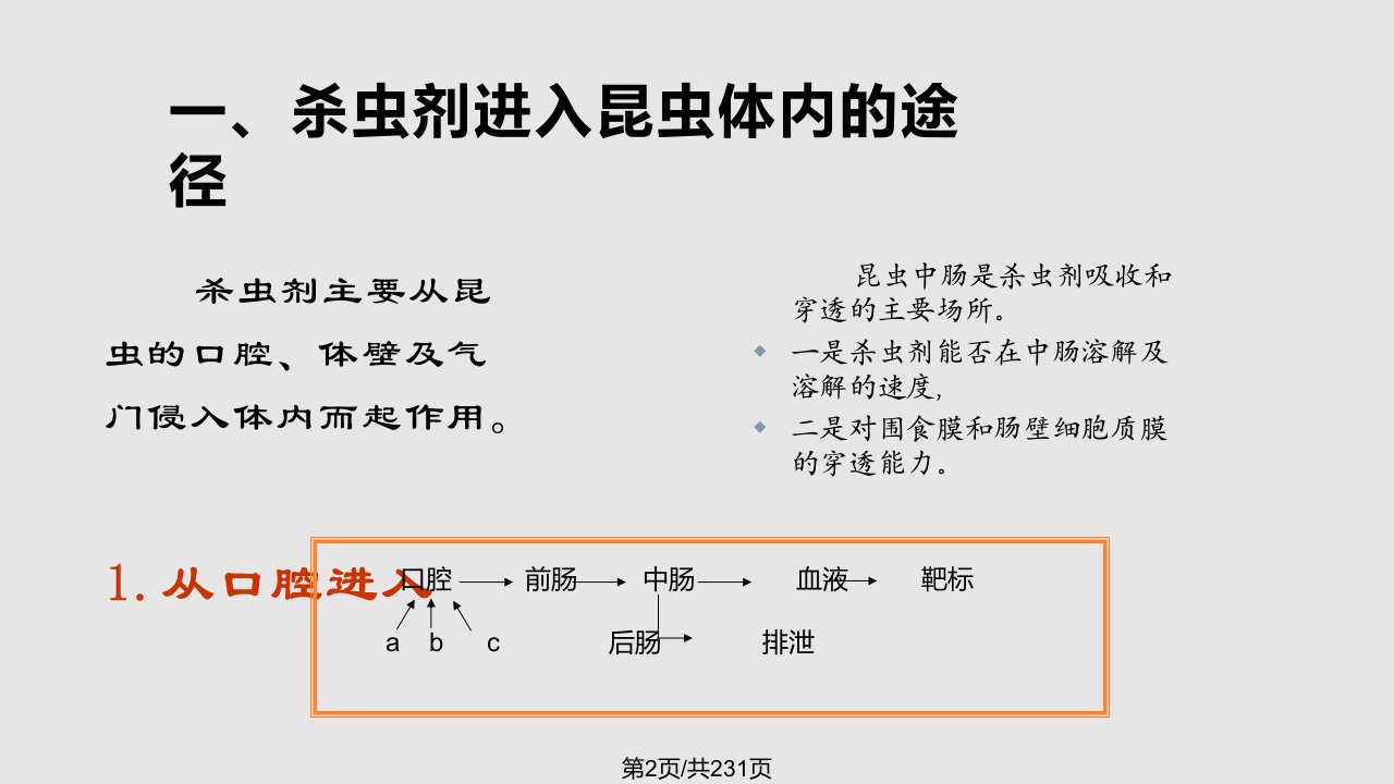 杀虫剂作用简述