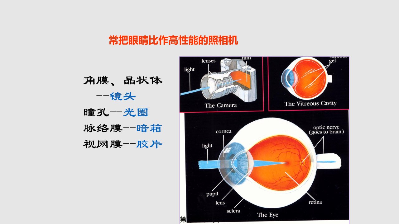 爱眼护眼大课堂