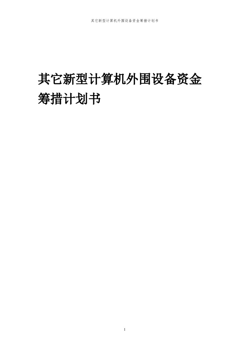 2024年其它新型计算机外围设备项目资金筹措计划书代可行性研究报告