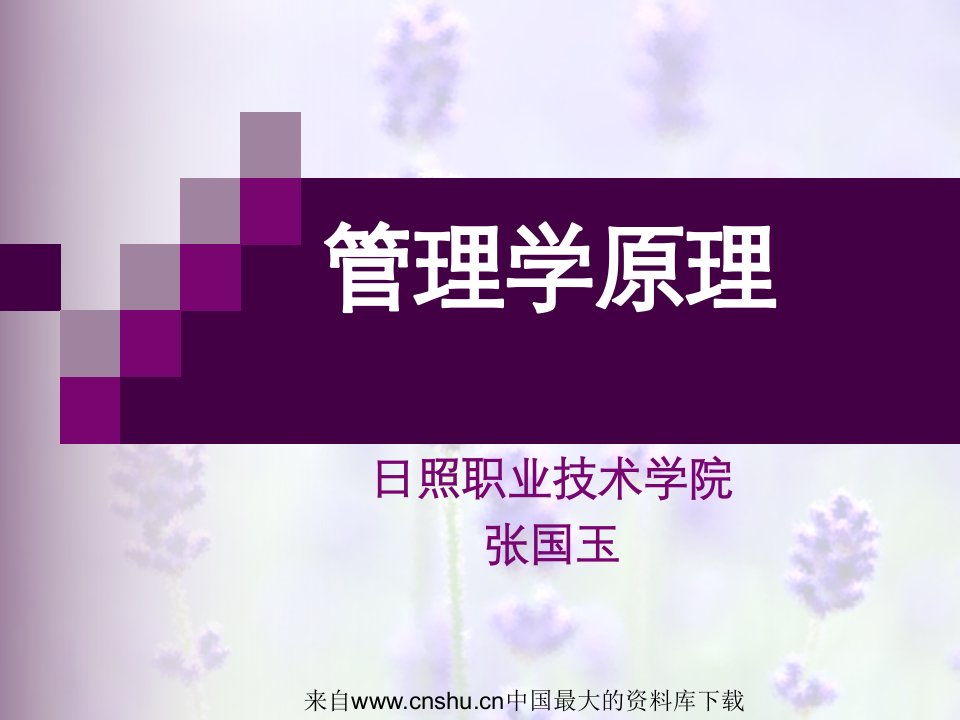 [管理学原理]领导职能(ppt