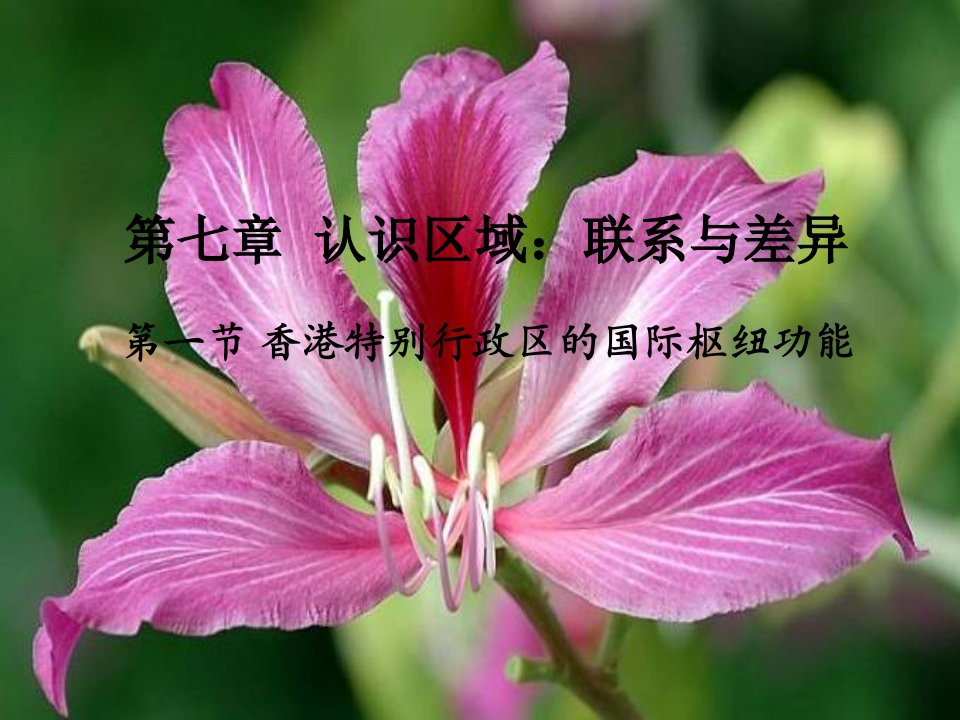 新湘教版八年级地理下册《七章-认识区域：联系与差异--第一节-香港特别行政区的国际枢纽功能》ppt课件