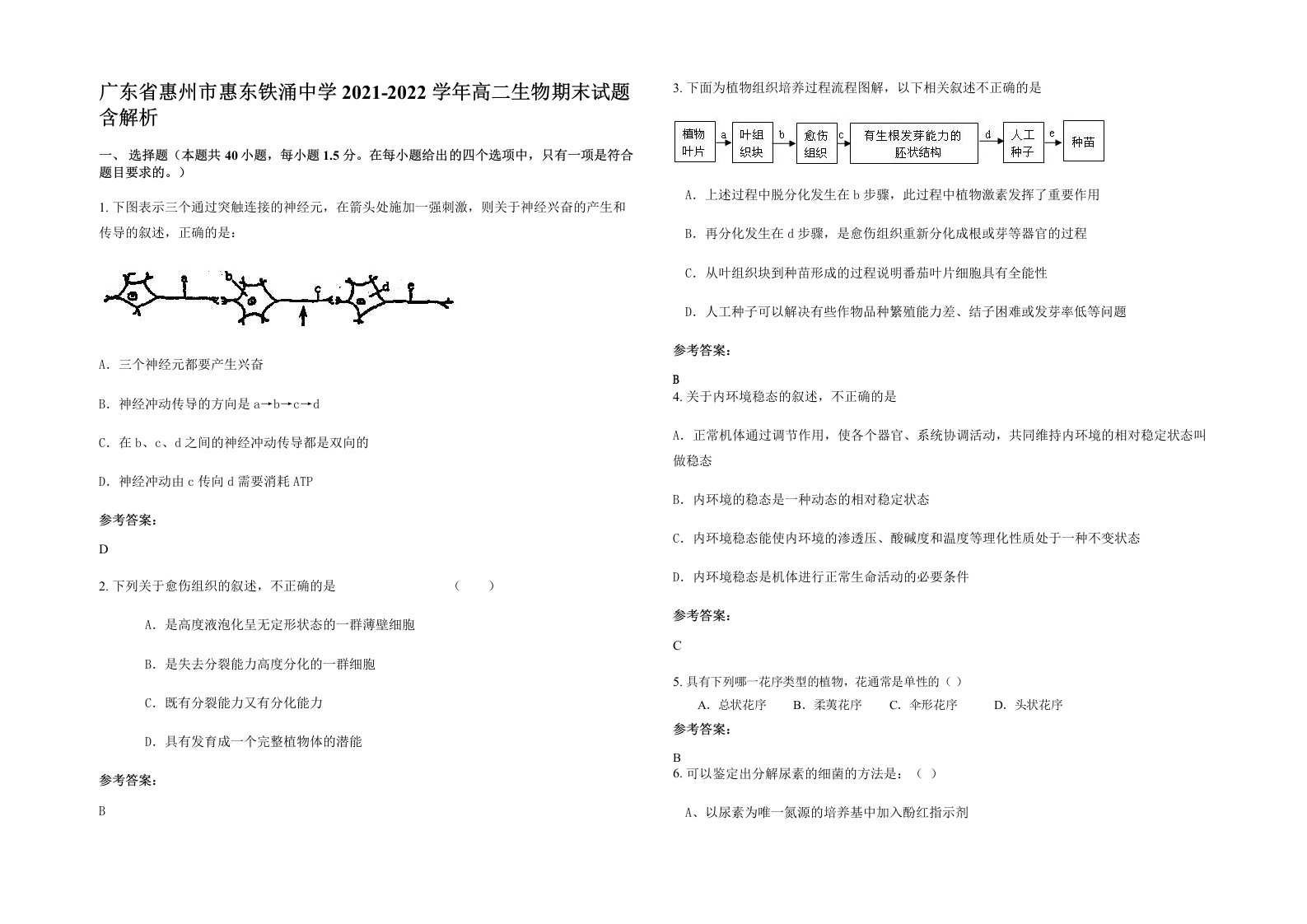 广东省惠州市惠东铁涌中学2021-2022学年高二生物期末试题含解析