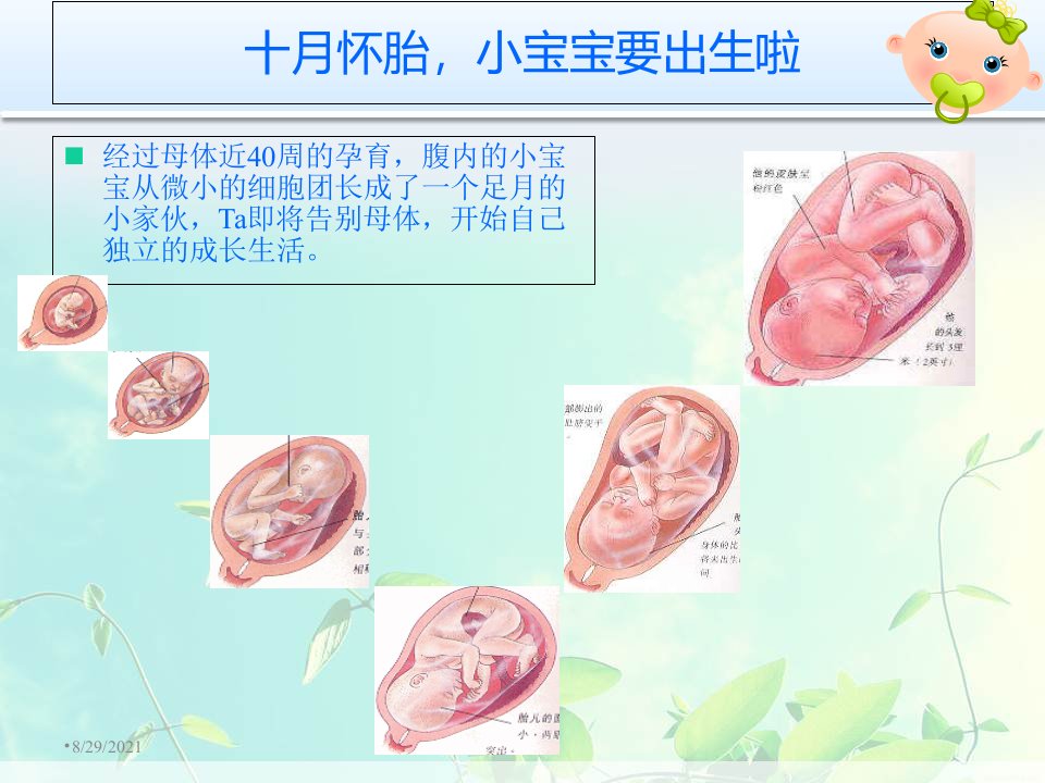 自然分娩VS剖宫产景婷