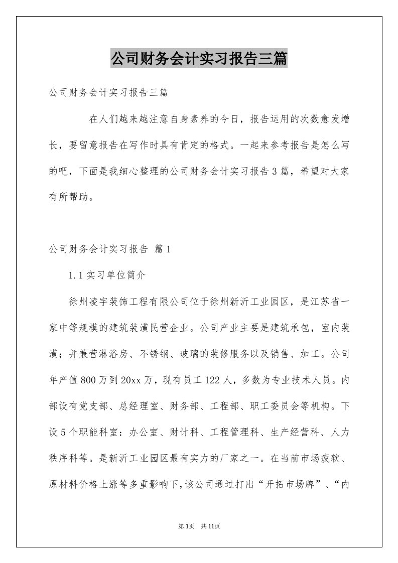 公司财务会计实习报告三篇例文