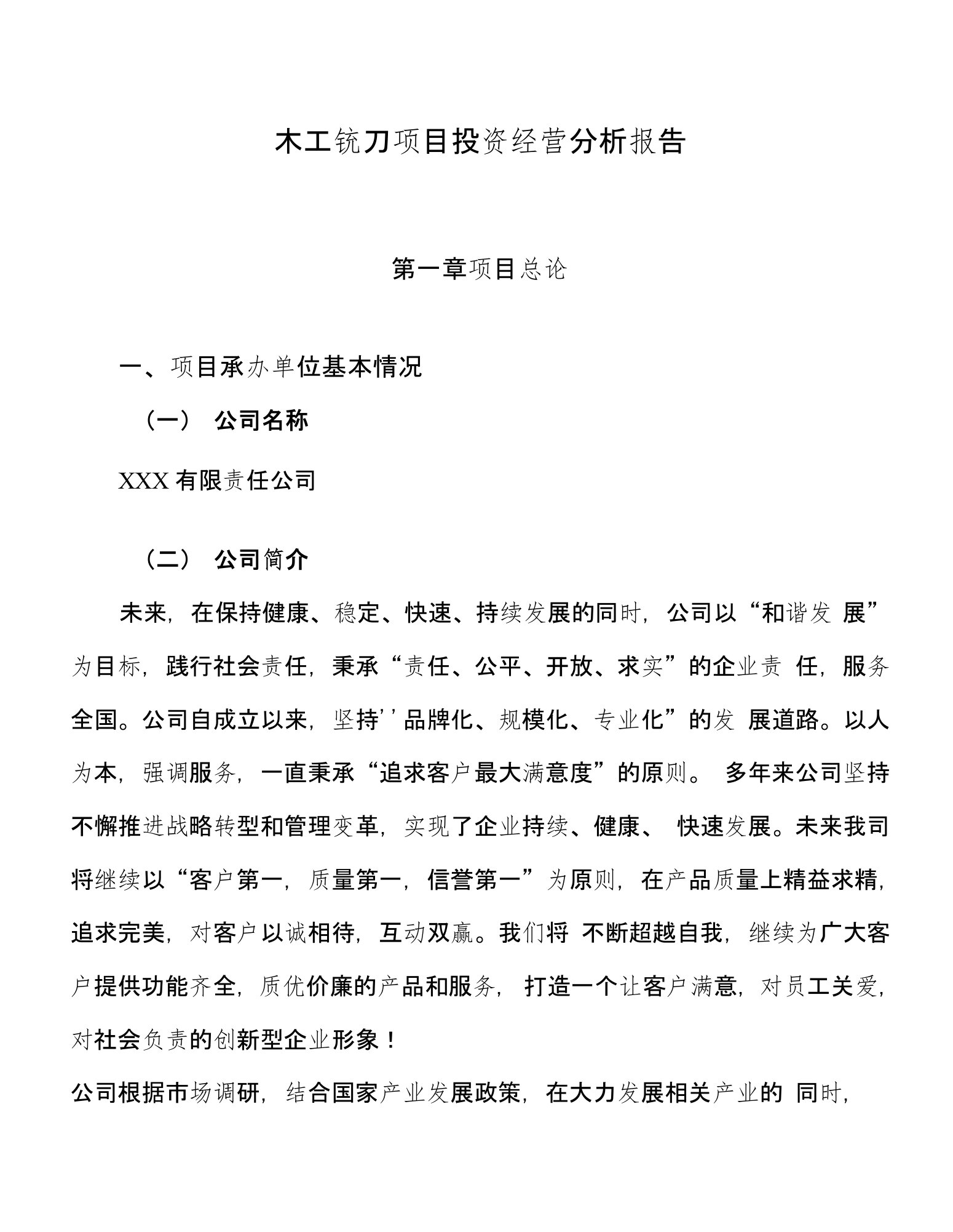 木工铣刀项目投资经营分析报告模板