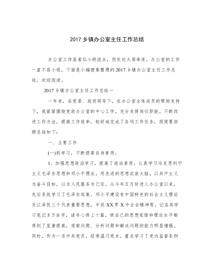 2017乡镇办公室主任工作总结