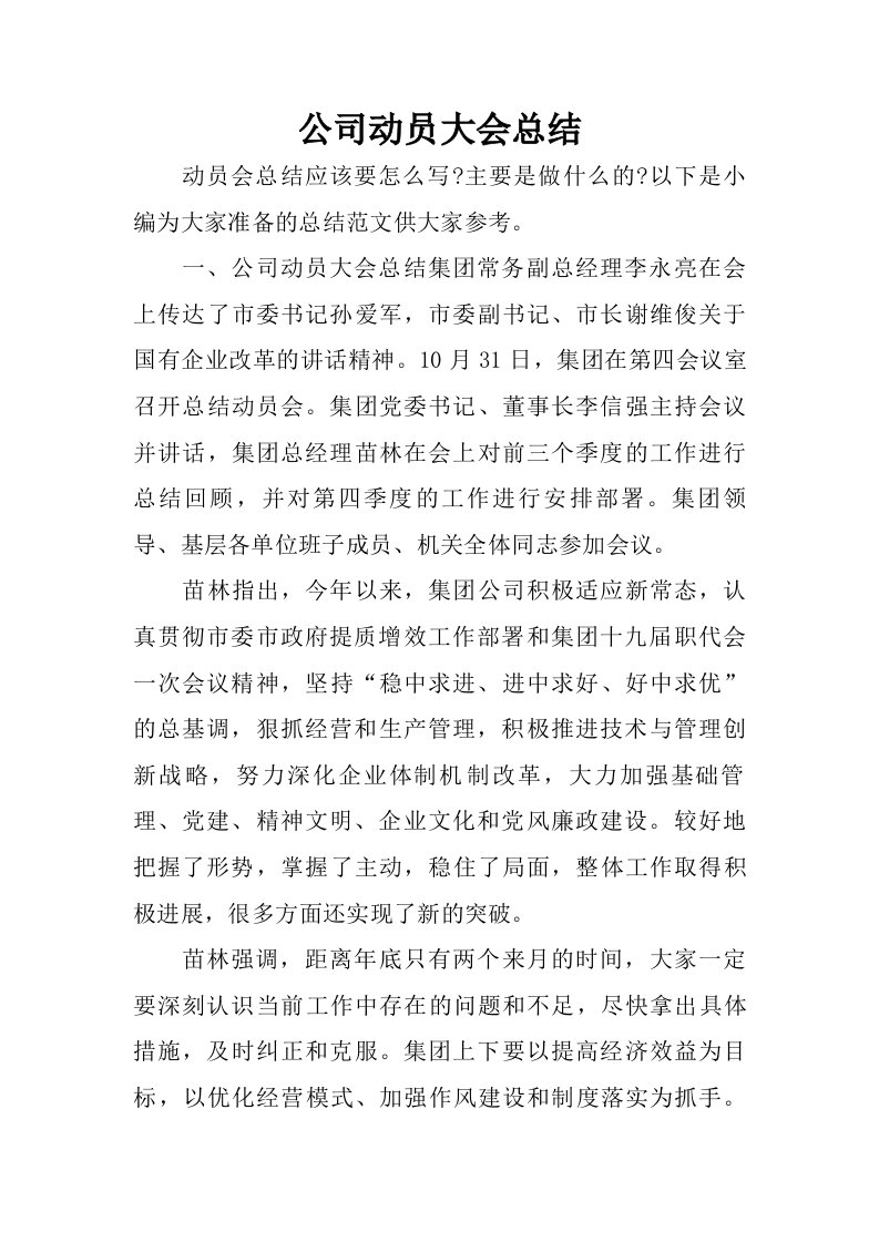 公司动员大会总结.doc