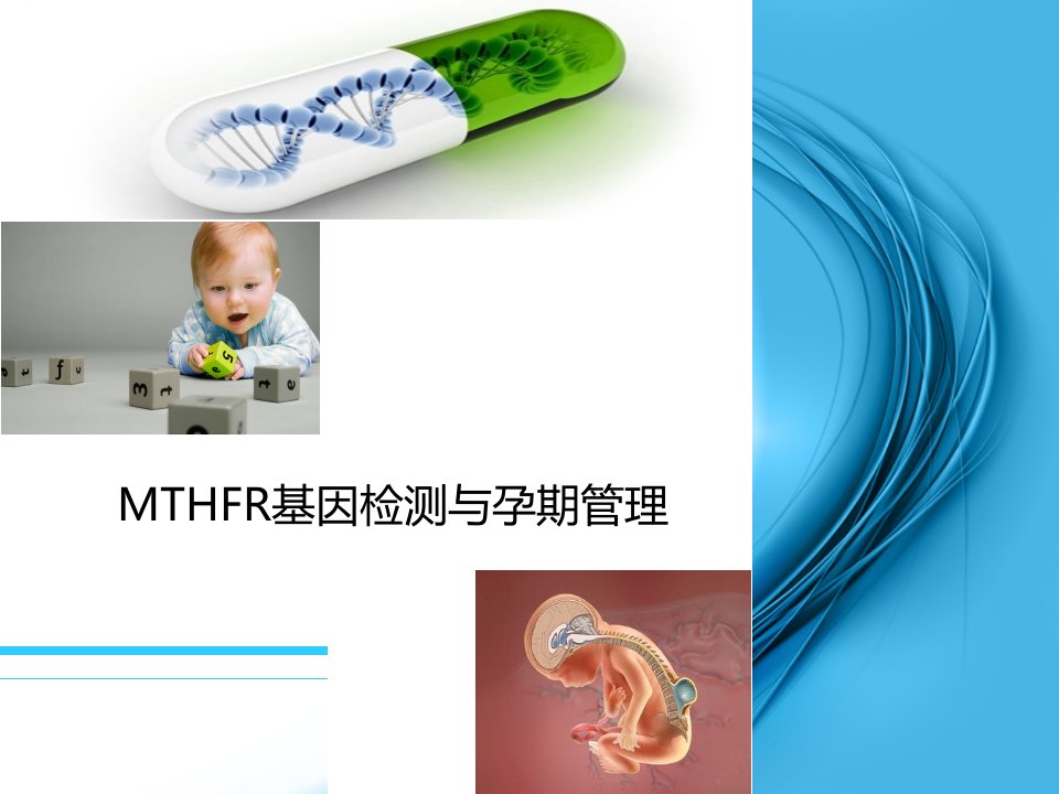 MTHFR基因检测与叶酸代谢(产科方向)培训资料