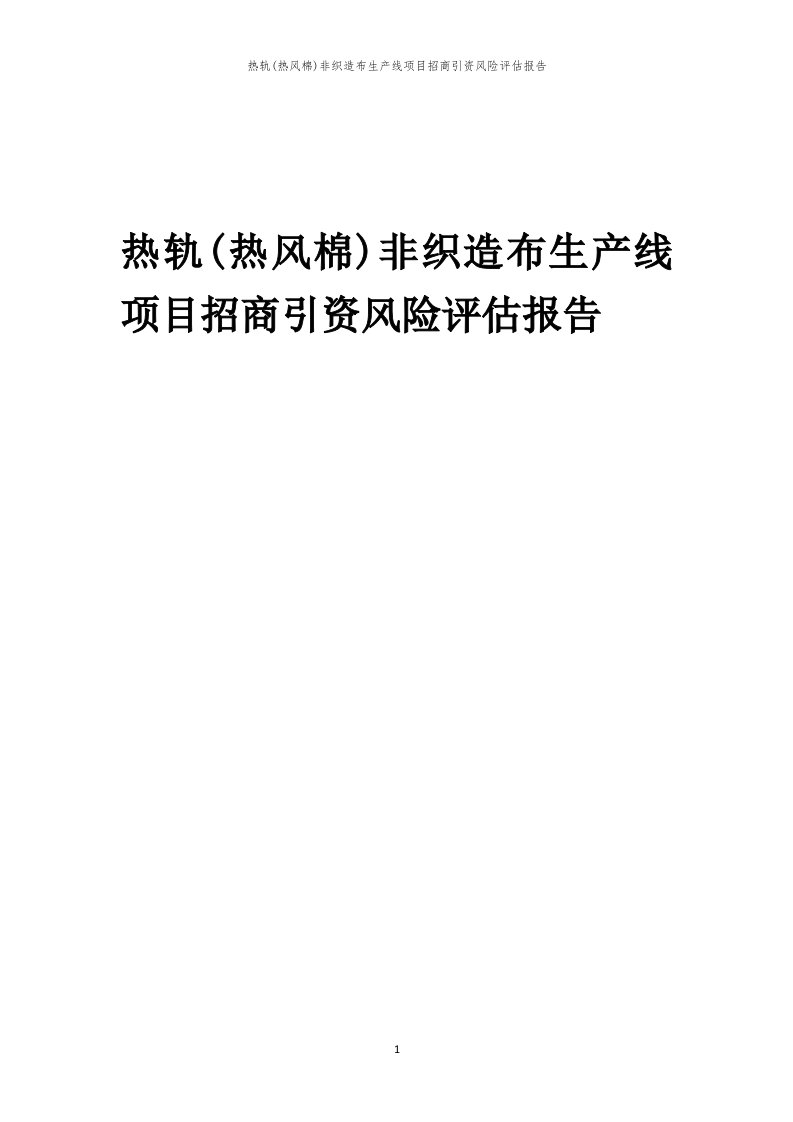 2023年热轨(热风棉)非织造布生产线项目招商引资风险评估报告