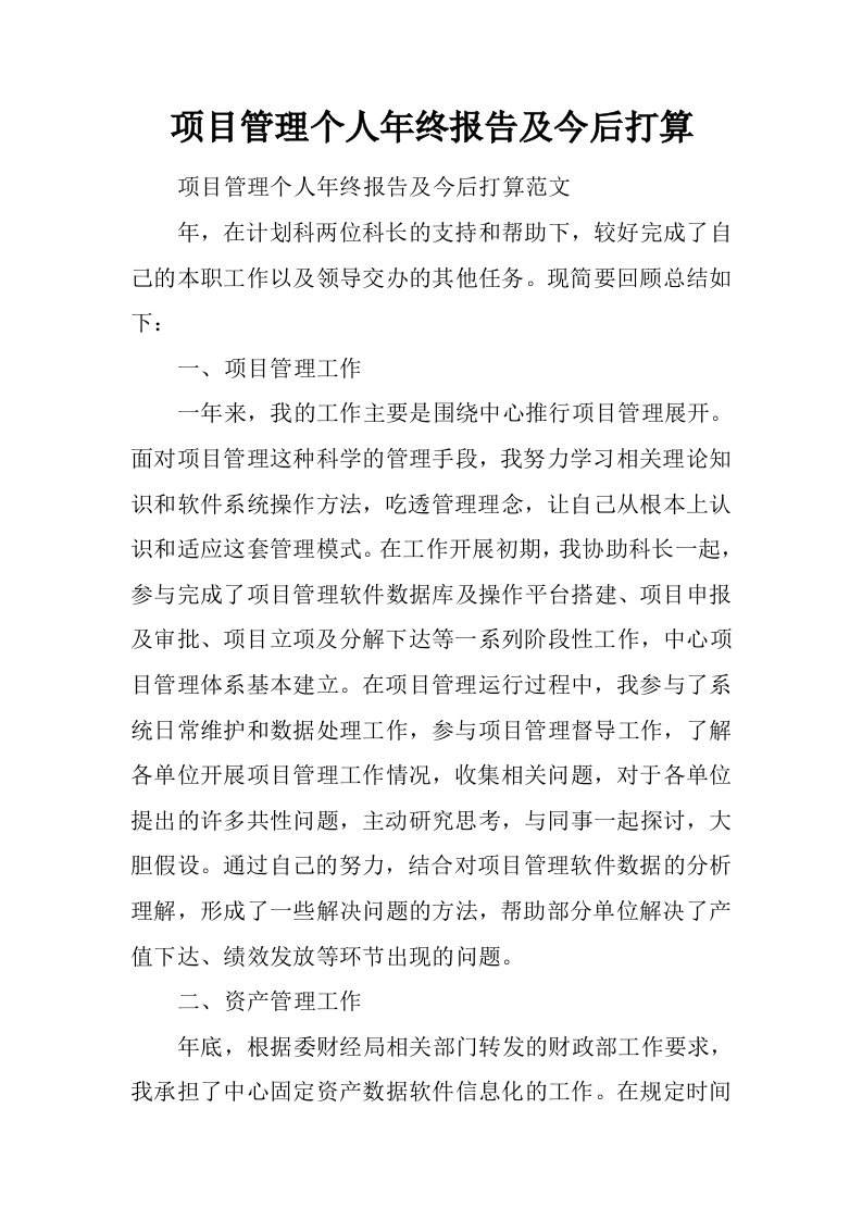 项目管理个人年终报告及今后打算