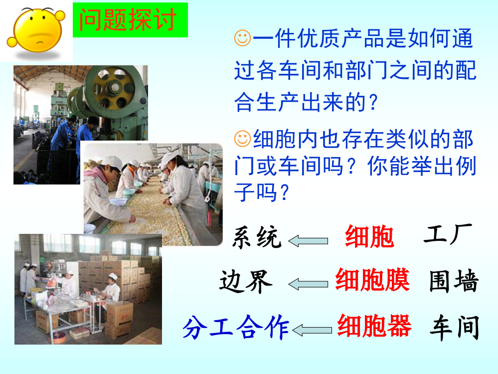 细胞器——系统内的分工合作20131110