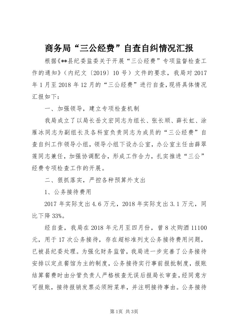 5商务局“三公经费”自查自纠情况汇报