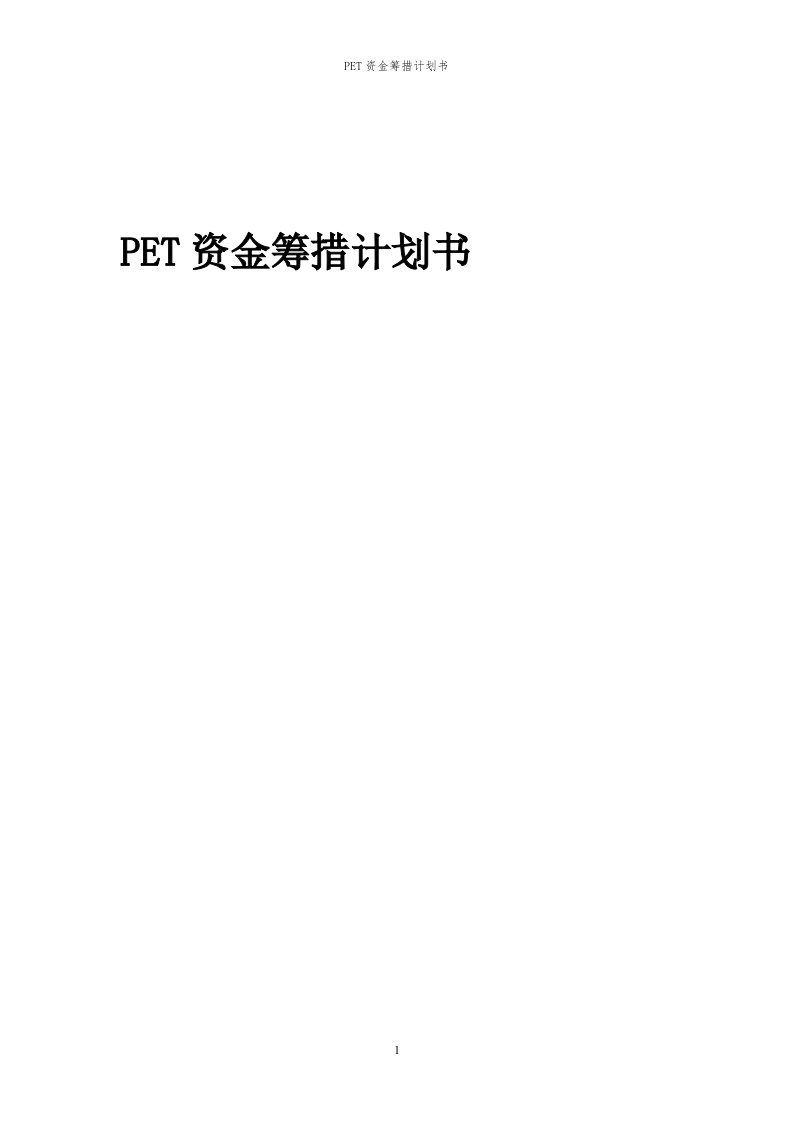 2024年PET项目资金筹措计划书代可行性研究报告