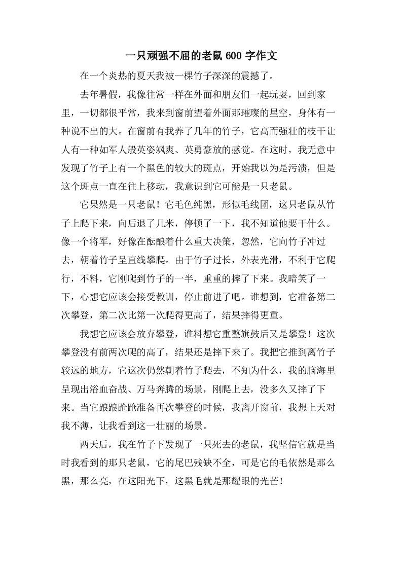 一只顽强不屈的老鼠600字作文