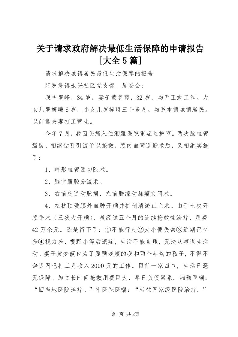 3关于请求政府解决最低生活保障的申请报告[大全5篇]