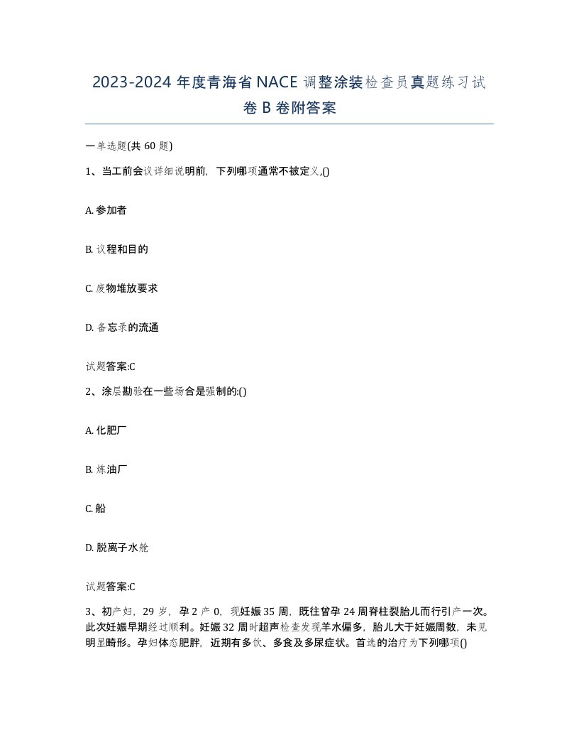 20232024年度青海省NACE调整涂装检查员真题练习试卷B卷附答案