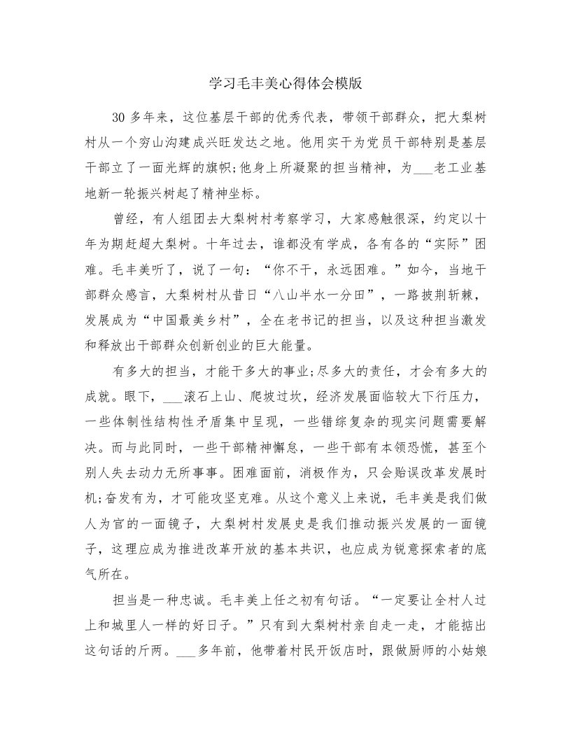 学习毛丰美心得体会模版