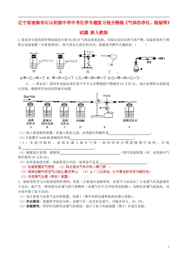 辽宁省凌海市石山初级中学中考化学专题复习抢分精练《气体的净化、检验等》试题