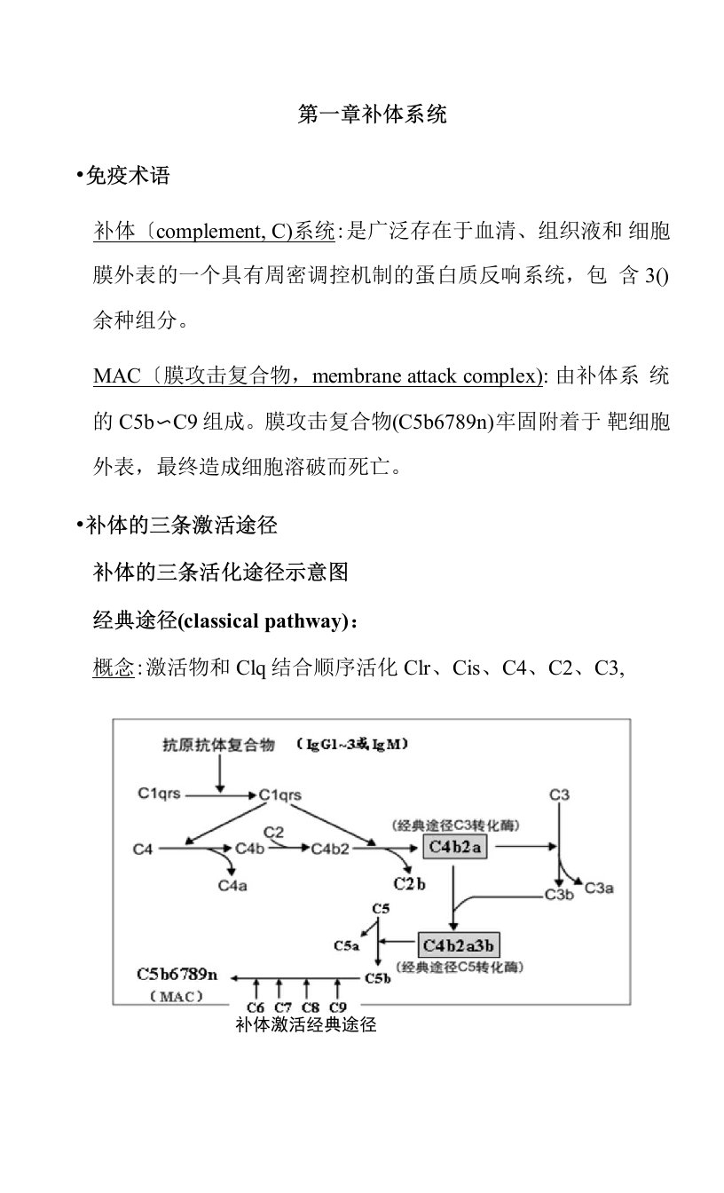 医学免疫知识点：补体系统