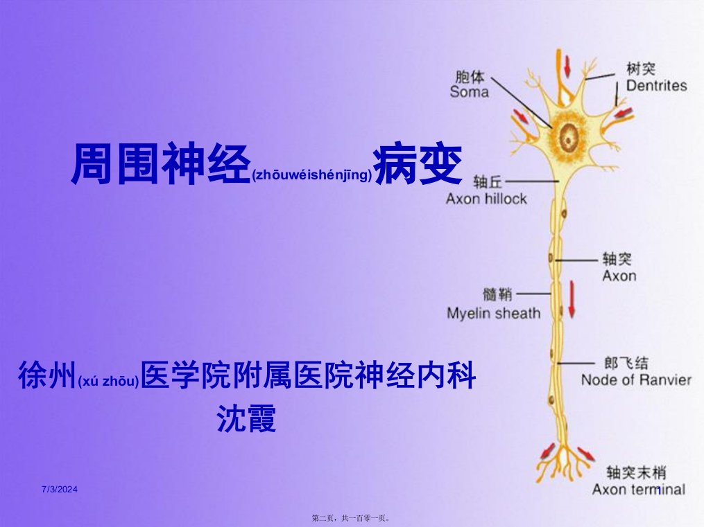 医学专题周围神经病变