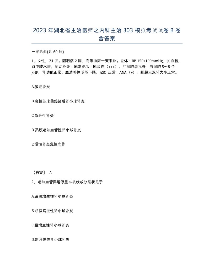 2023年湖北省主治医师之内科主治303模拟考试试卷B卷含答案