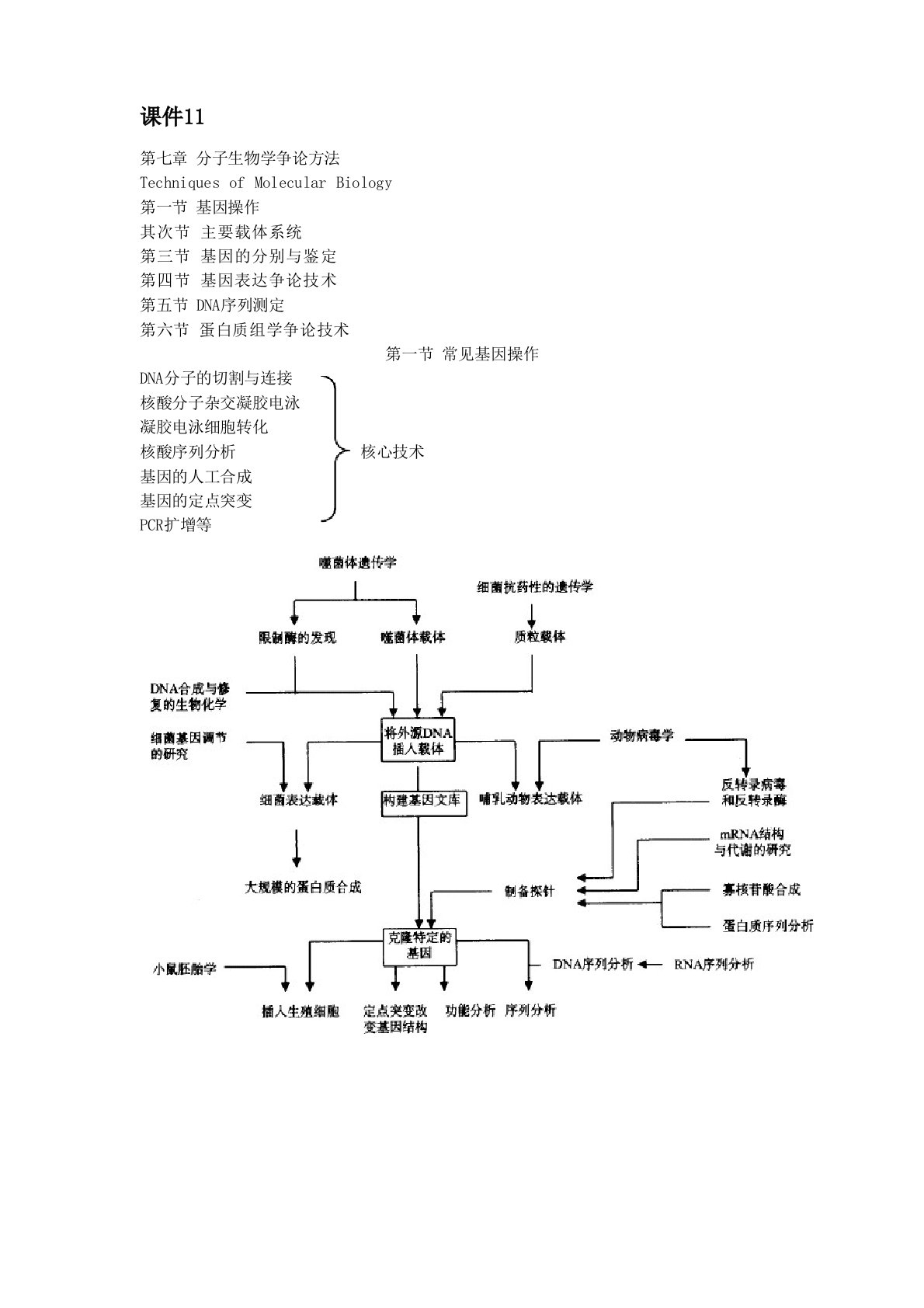 分子生物学研究方法(课件11)