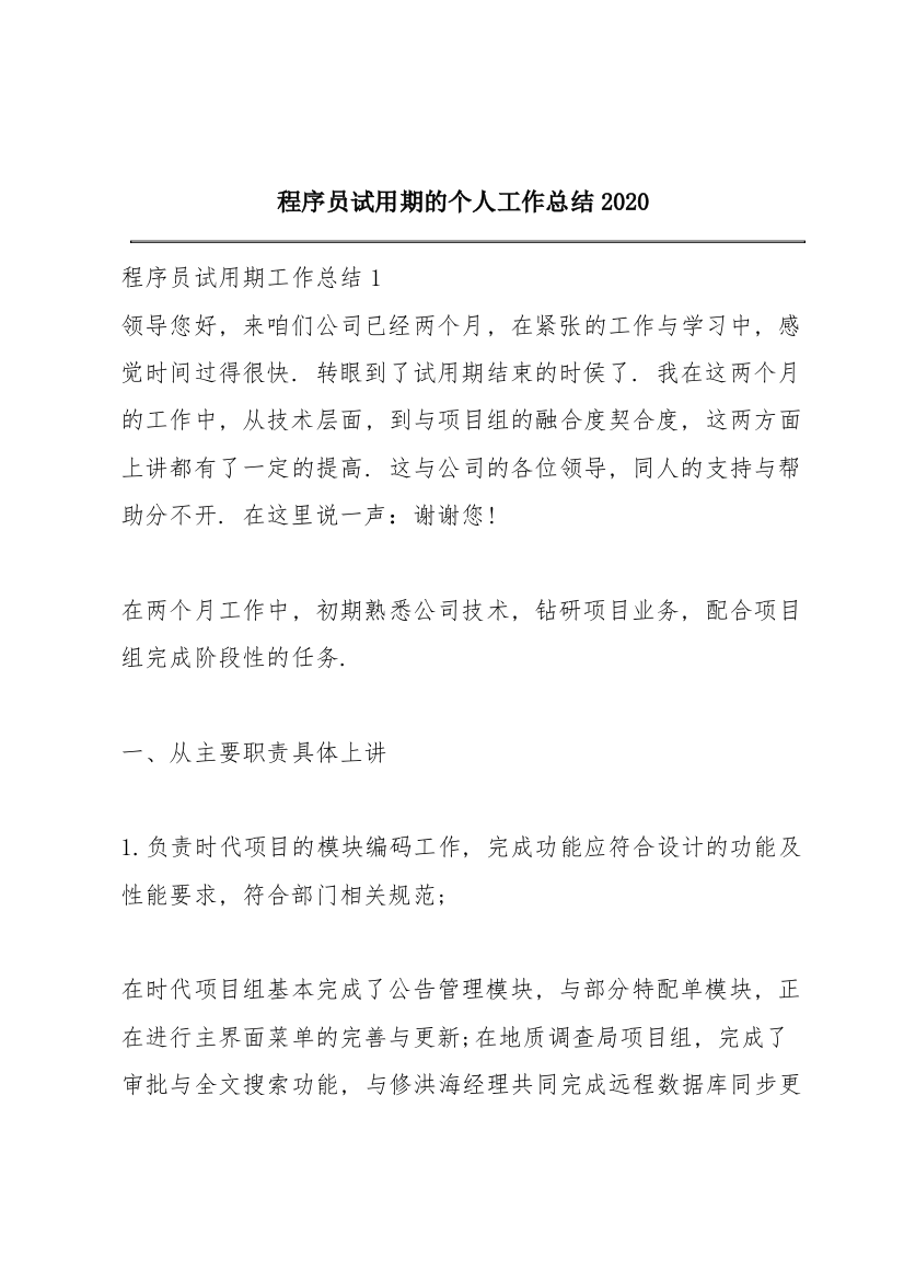 程序员试用期的个人工作总结2020