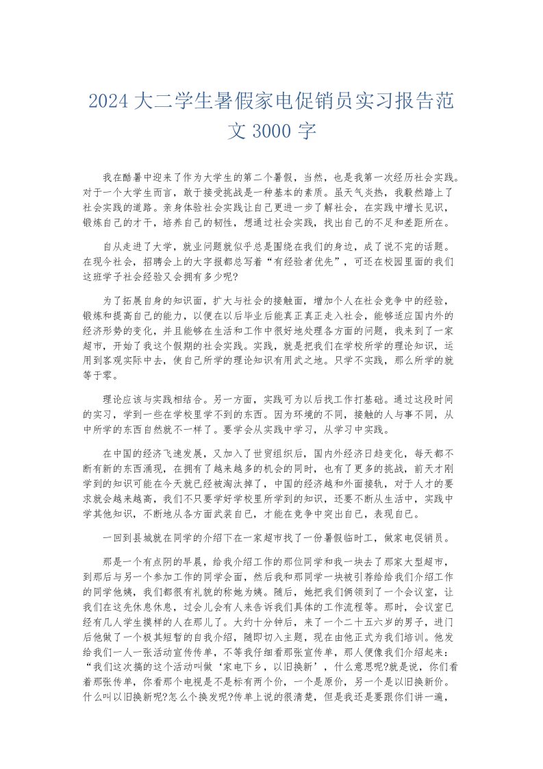 实习报告2024大二学生暑假家电促销员实习报告范文3000字