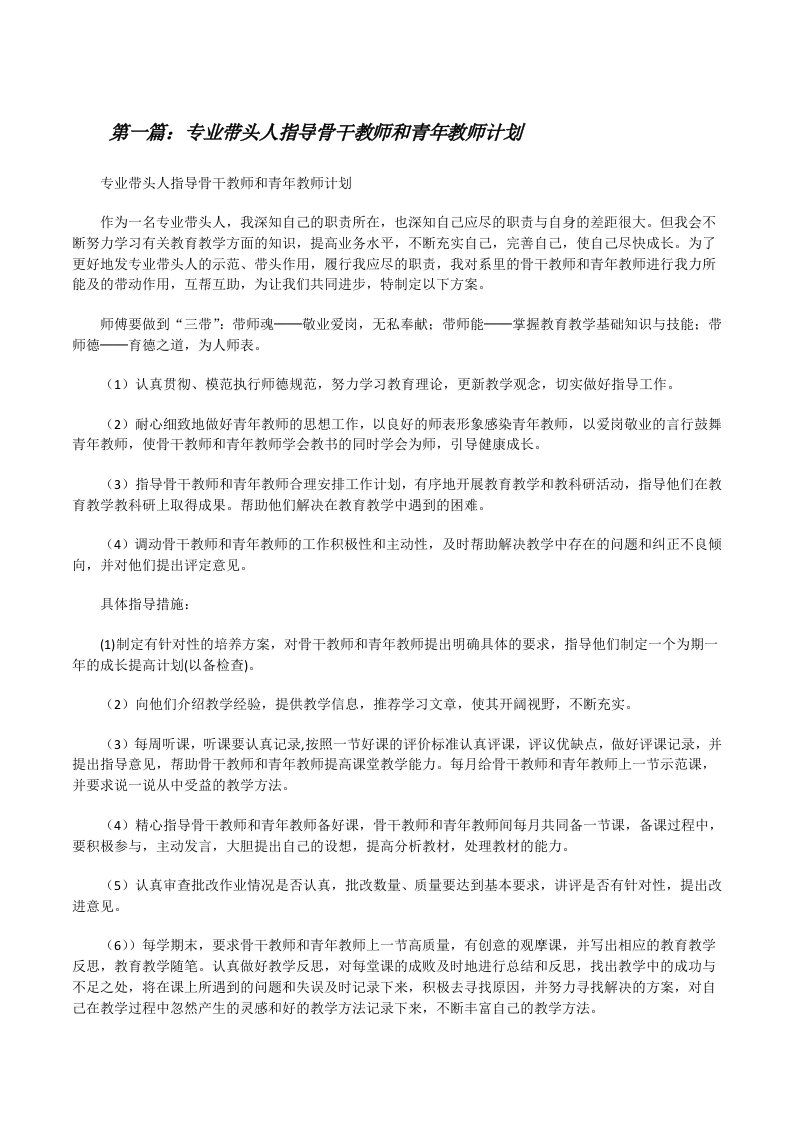 专业带头人指导骨干教师和青年教师计划（精选5篇）[修改版]