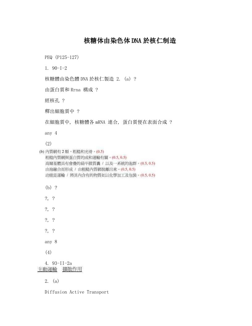 ifsAAA核糖体由染色体DNA於核仁制造