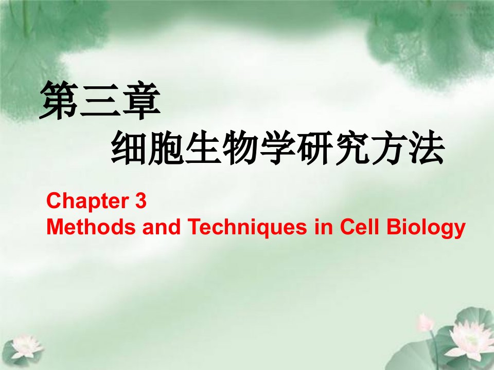 第三章-细胞生物学研究方法-课件