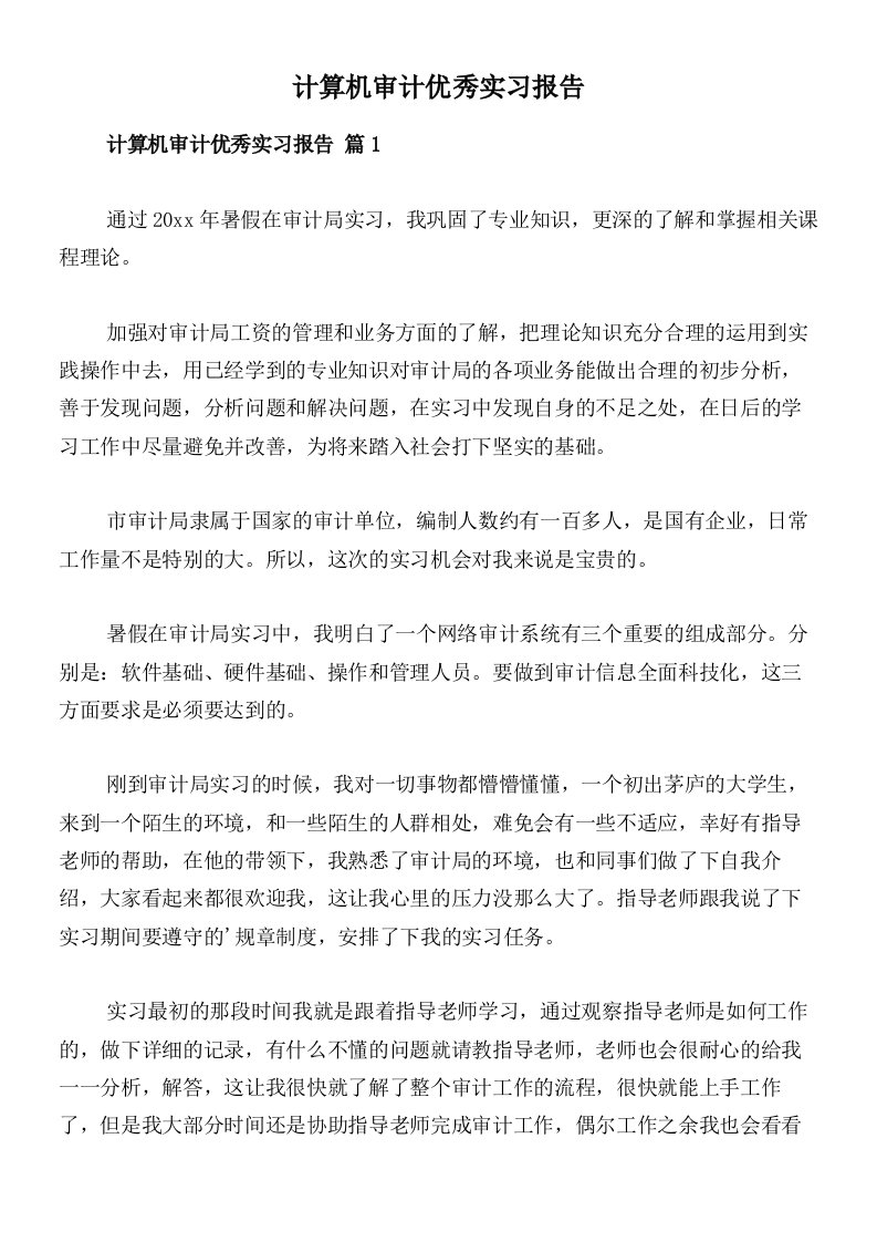 计算机审计优秀实习报告