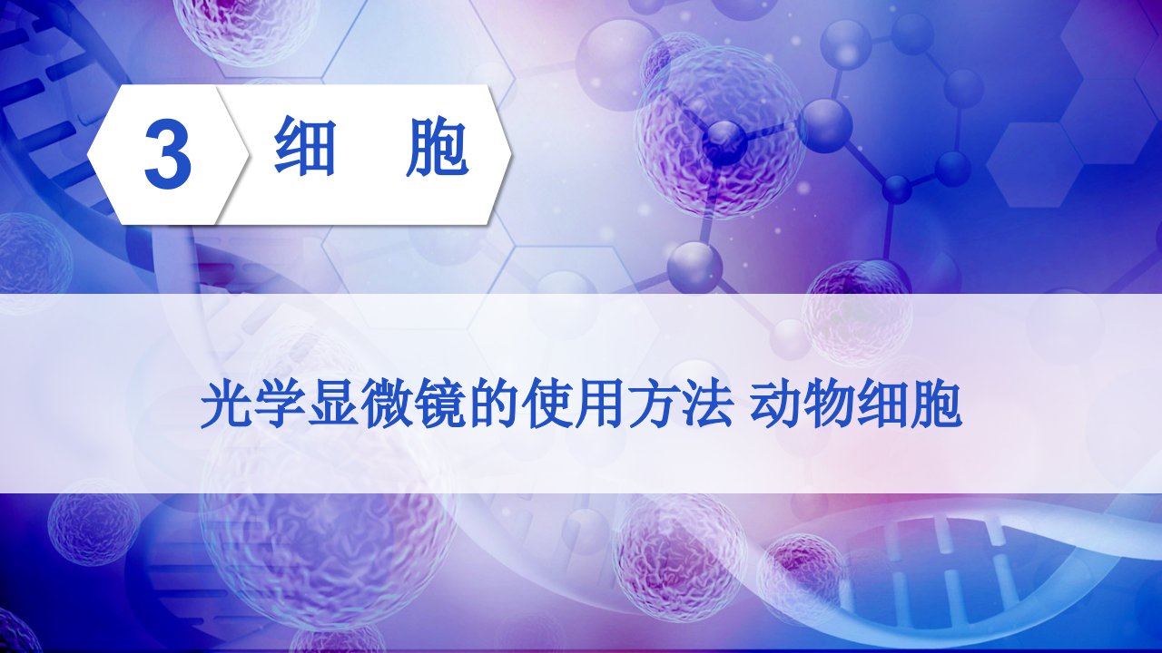 2023七年级生物上册第2单元生物体的结构第3章细胞第1节细胞的基本结构和功能第1课时光学显微镜的使用方法动物细胞课件新版北师大版