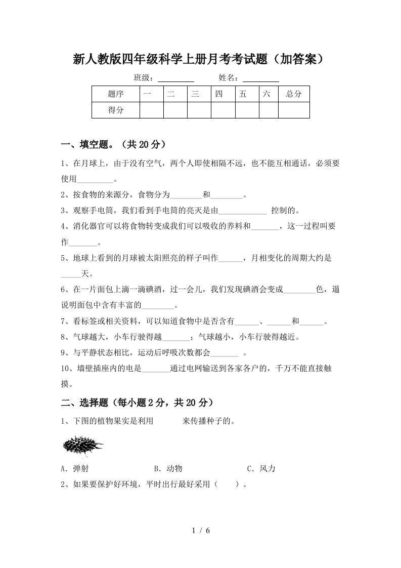 新人教版四年级科学上册月考考试题加答案