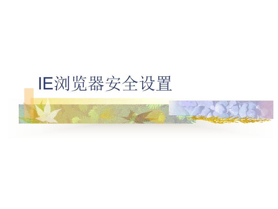 IE浏览器安全设置