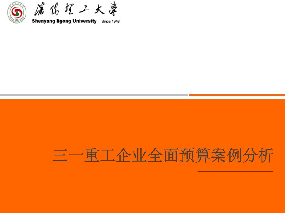 三一集团全面预算案例分析