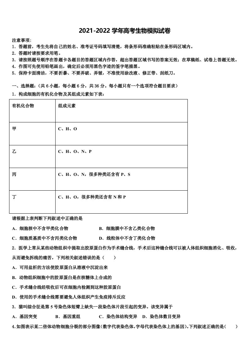 2021-2022学年江苏省南京师大附中高三二诊模拟考试生物试卷含解析