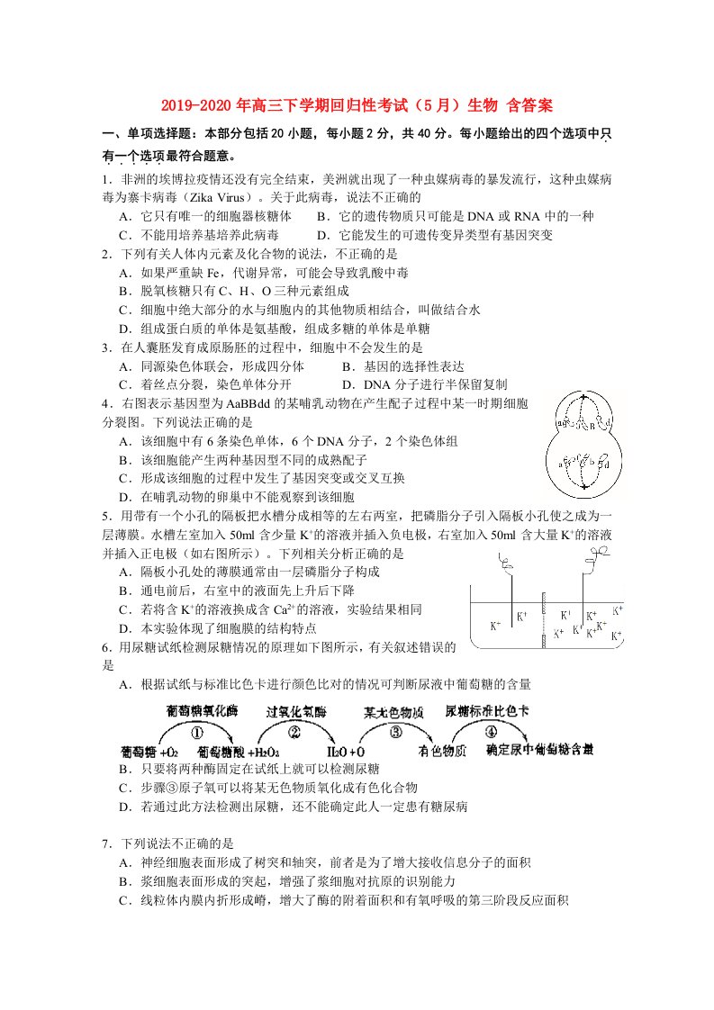 2019-2020年高三下学期回归性考试（5月）生物